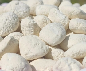 Men rượu - Nên chọn loại men rượu nào để nấu ?